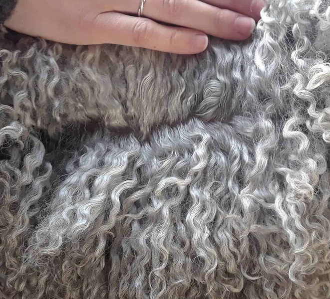 Vermont Grand View Farm