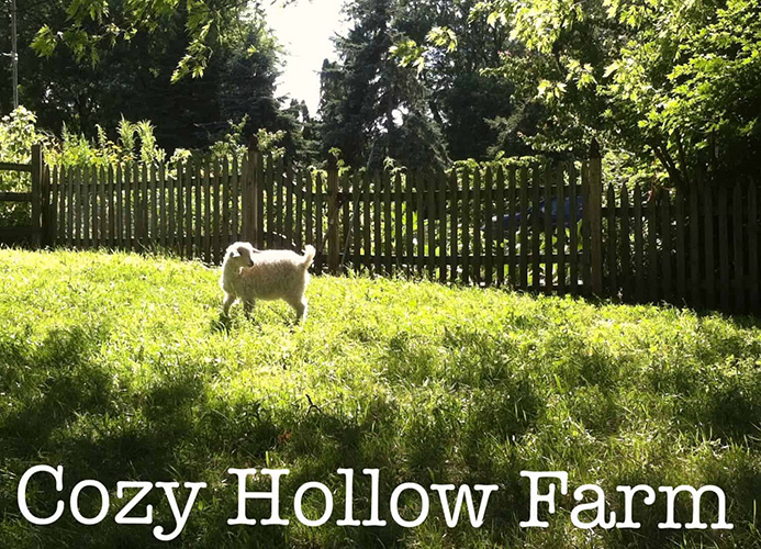 Cozy Hollow Farm