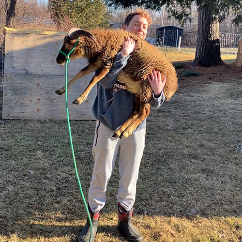 The Artists’ Garden