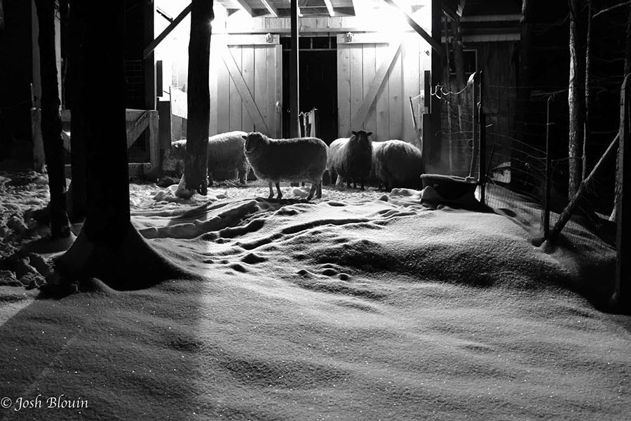 Paul and Melissa Perley – Two Fewe Farm