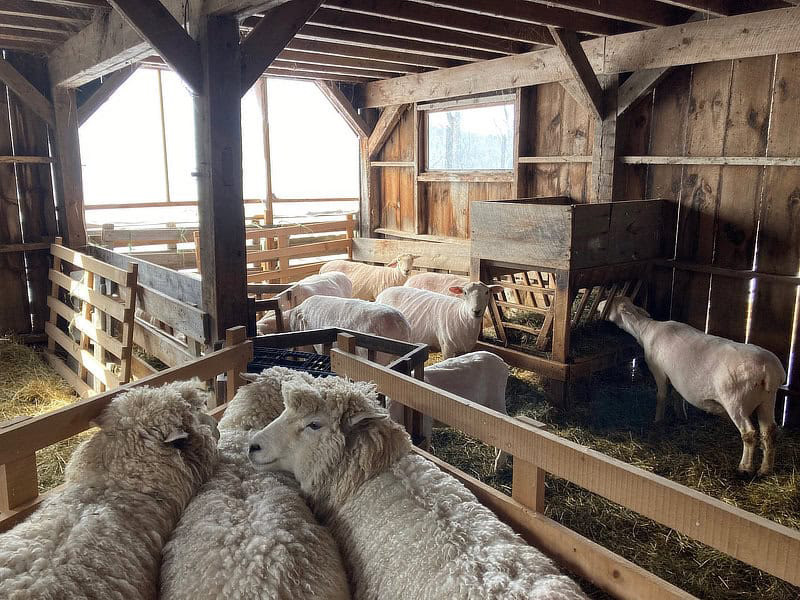 Broadbrook Mountain Farm