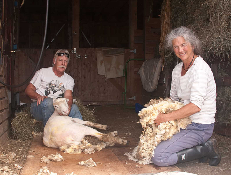 Osprey Hill Farm – Kimberly Hagen