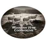 Mountain Vewe Coopworths