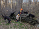 stone wall with 3 cats and a grey haired man sitting on it, and a dog standing in front