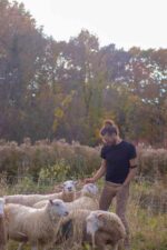 Rock Point Sheep Flock
